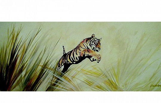 Plight of the tiger