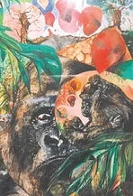 Plight of the gorilla